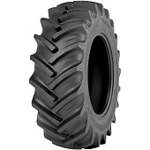 TR Forest 2 R-1